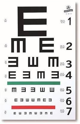 KASHSURG McCoy Ultimate Rosenbaum/Snellen Pocket Eye Chart Combo Vision Test Chart