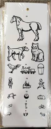 Cityhealth Eye vision Chart Child Standard Animal Snellen Chart (48 Cm) Vision Test Chart