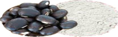 HARAYUG KAUNCH SEEDS BLACK - KAUCH BEEJ KALA - KONCH - MUCUNA PRURIENS BLACK - COWHAGE