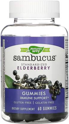 Nature's Way Sambucus Standardized Elderberry Gummies with Vitamin C and Zinc, 60 Gummies