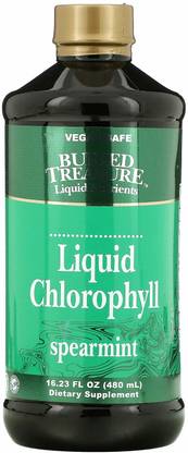 BURIED TREASURE Liquid Chlorophyll, Spearmint, 16.23 fl oz (480 ml)