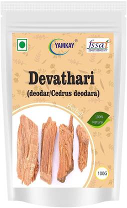 yamkay Devathari deodar Cedrus deodara Devadaru