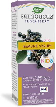 Nature's Way Sambucus Elderberry Immune Syrup for Kids