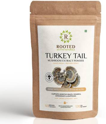 ROOTED Turkey Tail Mushroom Extract Powder