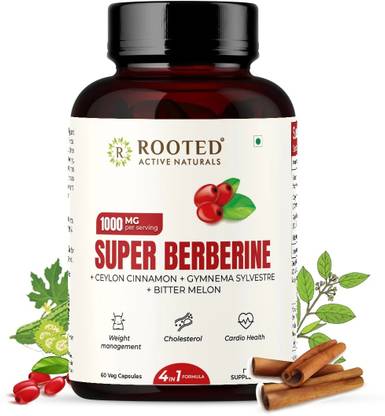 ROOTED Gluco Guard - Blood Sugar support with Berberine HCL 98% | Diabetes Control
