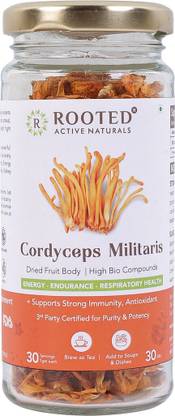 ROOTED Cordyceps Militaris Dry Body 30 Gram