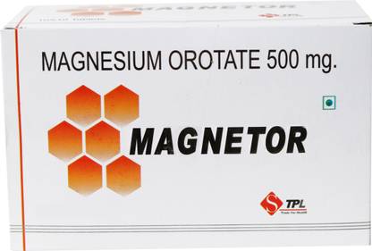 STPL Magnetor Magnetor