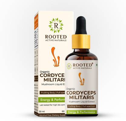 ROOTED Cordyceps mushroom supplement, Organic tincture |exctract | 30 ml - 60 serving