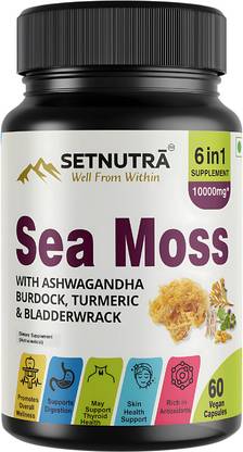 SETNUTRA Sea Moss with Ashwagandha Burdock, Turmeric & Bladderwrack