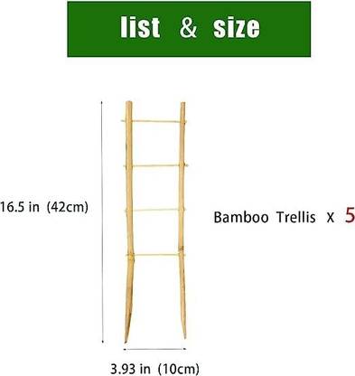 zam zaam kl78 Walking Stick