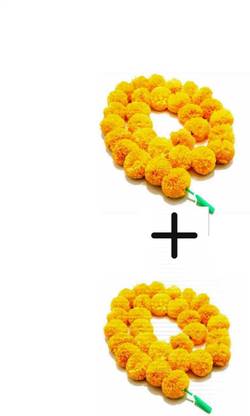 mizwiist solutions multipurpose indian fluffy marigold garland for Wall Home design decoration Pack of 2