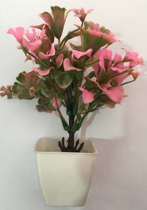 venkat products DC-2 Pack of 2