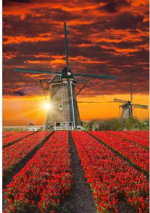 Artzfolio Windmill With Beautiful Tulip Field Holland Vinyl Wall Sticker 28 x 40.4 inch
