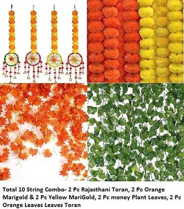 SMILE spreader 10MIXTORAN Pack of 10