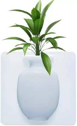 BIG HOUSE Silicone Wall Mounted Hanging Flower Pot Sticker Decoration