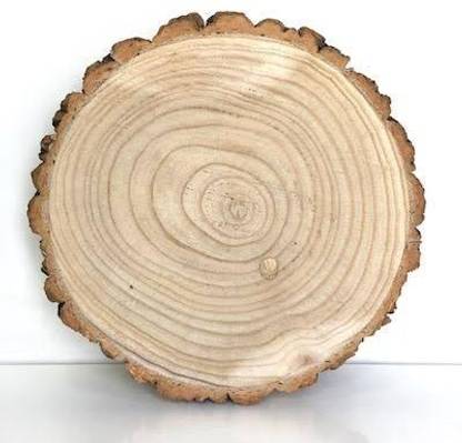 ARYAN EVERGREEN Unfinished Wood Slices with Bark for Crafts Wood Kit for DIY Craft.3-5 in Discs Pack of 4