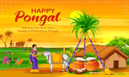 Backdropon Happy Pongal Festival Design Printed Fabric Backdrop(5Feet Height & 8Feet width)