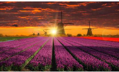 Artzfolio Canvas 12 inch x 20.3 inch Painting