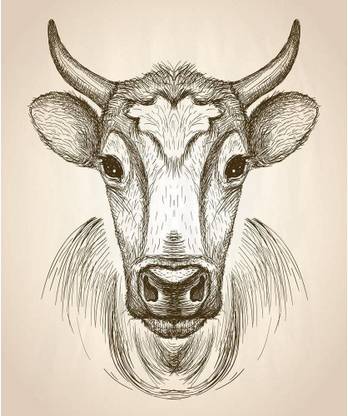 Pitaara Box Cow Face Portrait Unframed Wall Art Painting Print Canvas 28.9 inch x 24 inch Painting