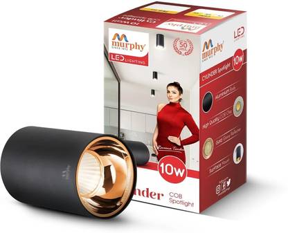 MURPHY Picture Light Wall Lamp With Bulb
