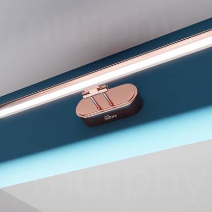MURPHY Picture Light Wall Lamp With Bulb