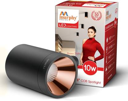 MURPHY Picture Light Wall Lamp With Bulb