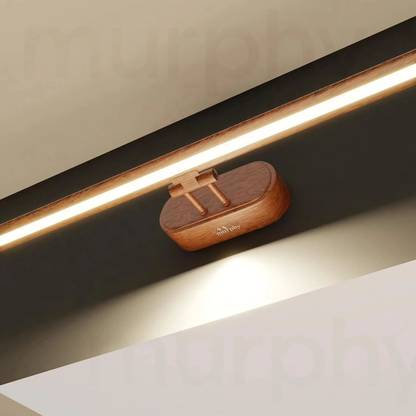 MURPHY Picture Light Wall Lamp With Bulb