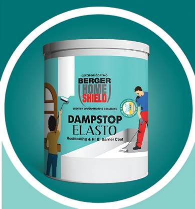 Berger Damp proof for Waterproofing White Functional Wall Paint
