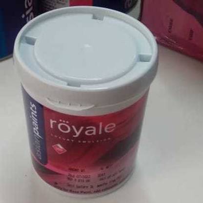 ROYALE 8165 White Solvent Wall Paint