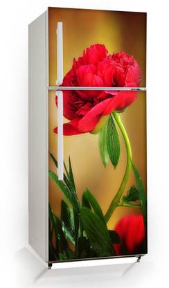 Luxury Floral & Botanical Multicolor Wallpaper