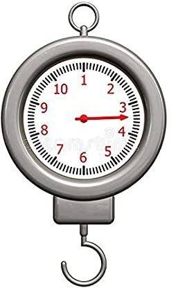 Elecopto SPRING BALANCE ROUND 100KG/1000N(METAL) Weighing Scale