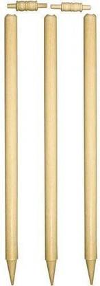 VICTOO Heavy Quality Plastic wicket-176