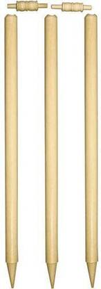 VICTOO Heavy Quality Plastic wicket-176