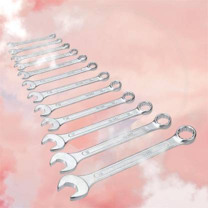 YZOT High Quality WR_101 12pc set Double Sided Combination Wrench