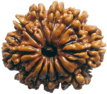 SHIVOHAM ELEVEN FACE RUDRAKSHA LAB CERTIFIED Wooden Yantra