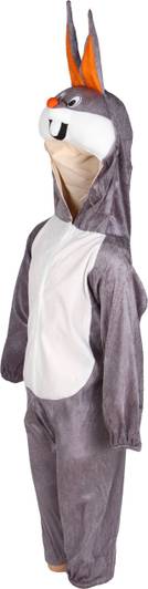 Raj Fancy Dresses Rabbit Kids Costume Wear