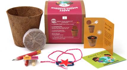 Flipkart SmartBuy Plantable Ecofriendly Rakhi gift for Brother Kids R144 Assorted Gift Box