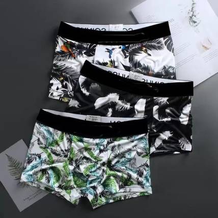 Cavendres Brief For Boys