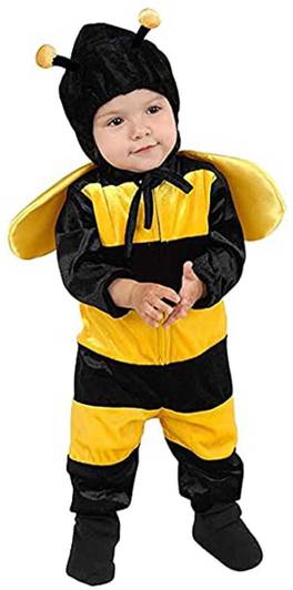MODERNAZ Honey bee dress for kids Kids Costume Wear