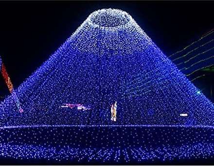 Rice Lights - Shop Decorative Rice Lights Online | Shopsy