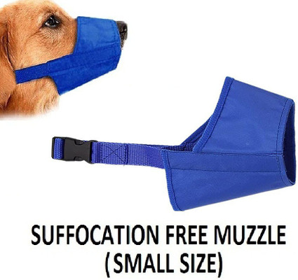 Muzzles online for kids