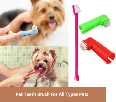 Best hotsell pet toothbrush