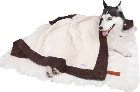 Animal planet dog outlet blanket