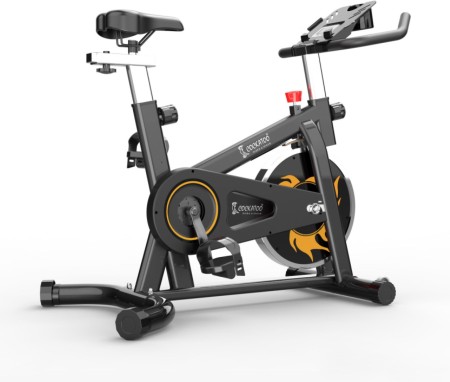 Bodymax b15 spin cheap bike