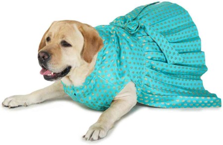 Dog dress hot sale flipkart