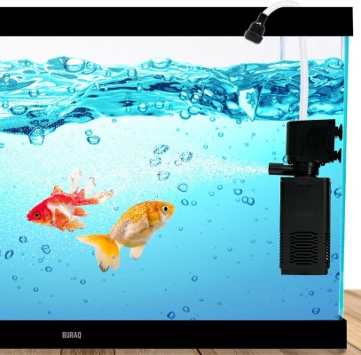 Aquarium Accessories - Buy Aquarium Accessories Online at Best Prices In  India