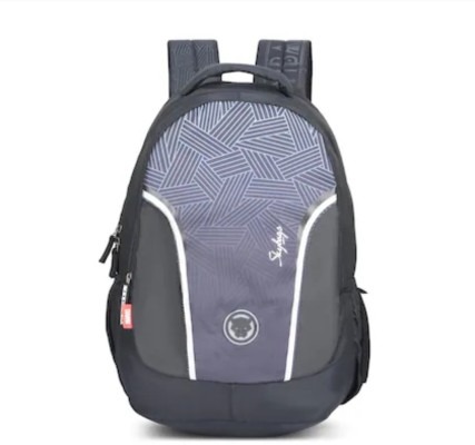 Skybags hot sale online flipkart