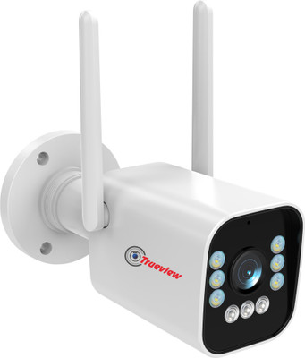 Trueview bullet shop camera