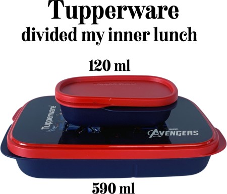 Buy Topware TOPSBR 4 Containers Lunch Box(1000 ml) on Flipkart