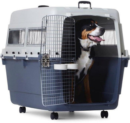Pearl Pet Supplies Buy Pearl Pet Supplies Online at Best Prices